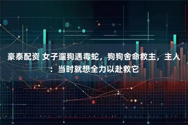 豪泰配资 女子遛狗遇毒蛇，狗狗舍命救主，主人：当时就想全力以赴救它