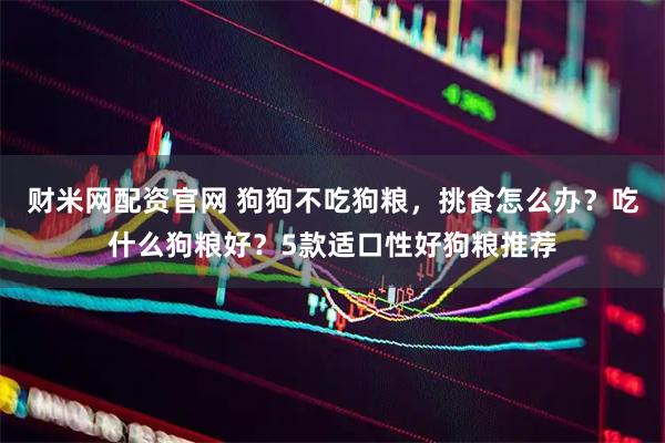 财米网配资官网 狗狗不吃狗粮，挑食怎么办？吃什么狗粮好？5款适口性好狗粮推荐