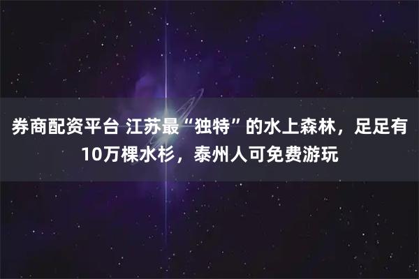 券商配资平台 江苏最“独特”的水上森林，足足有10万棵水杉，泰州人可免费游玩