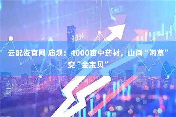 云配资官网 庙坝：4000亩中药材，山间“闲草”变“金宝贝”