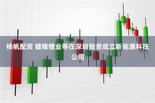 杨帆配资 赣锋锂业等在深圳投资成立新能源科技公司