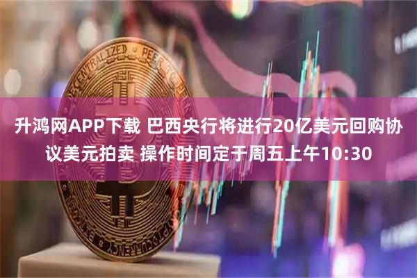 升鸿网APP下载 巴西央行将进行20亿美元回购协议美元拍卖 操作时间定于周五上午10:30