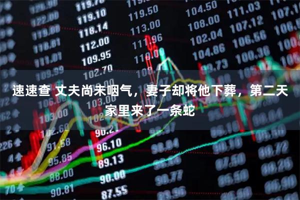 速速查 丈夫尚未咽气，妻子却将他下葬，第二天家里来了一条蛇
